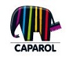 Fassadenfarbe und Innenfarbe von Caparol